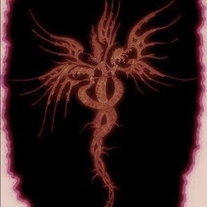 Meet your Posher, Frida